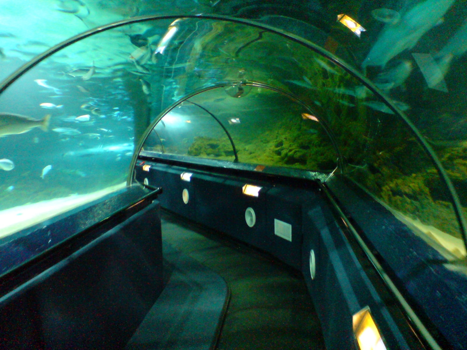 Antalya Aquarium Tour